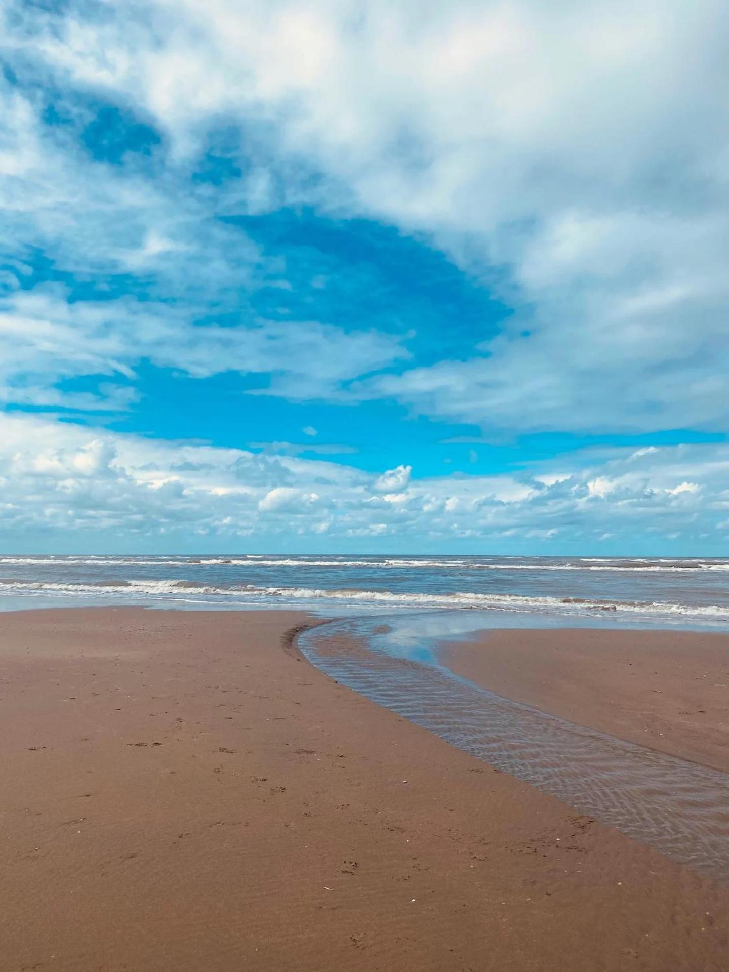 Boja Beach House Zandvoort Dış mekan fotoğraf